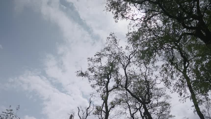 Clouds gather overhead