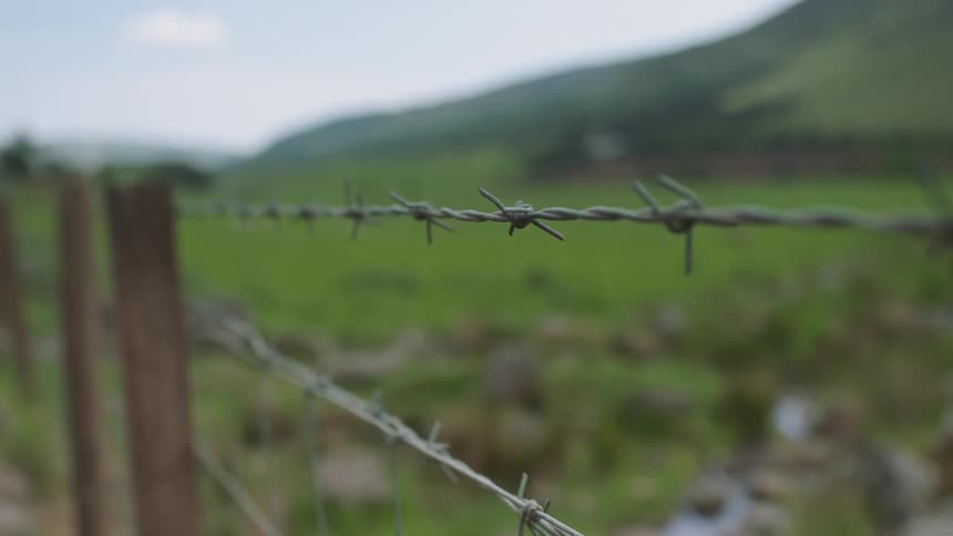 Barb wire fence is stretched from post to post