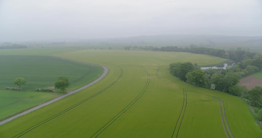 The long green field is covered with fog