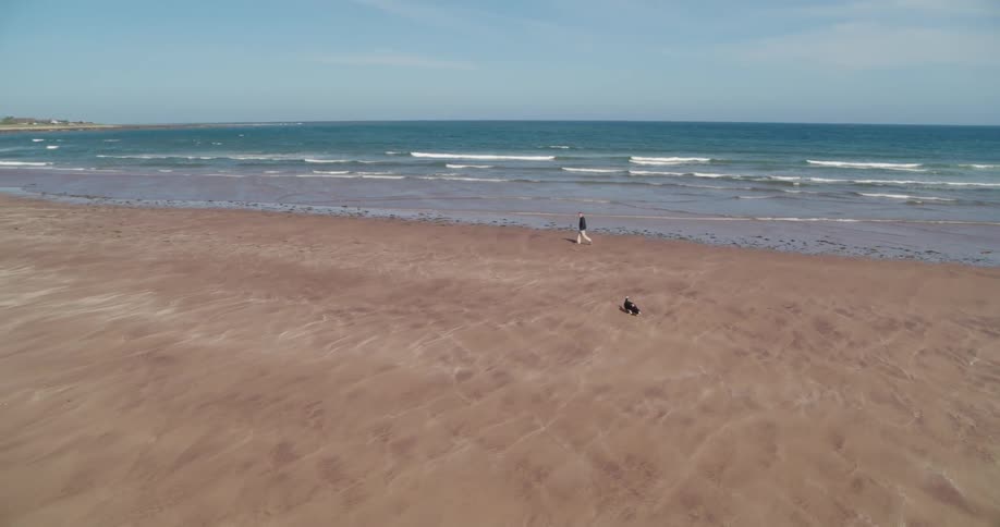 A person walks with their dog on a beach