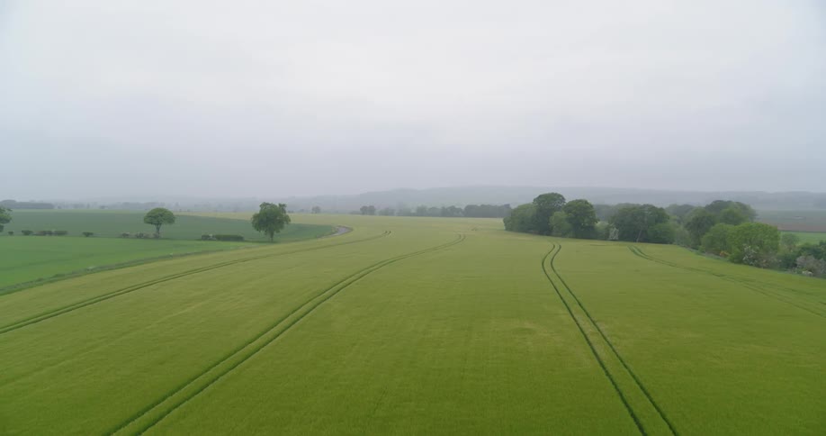 A rural field is shown on a misty day
