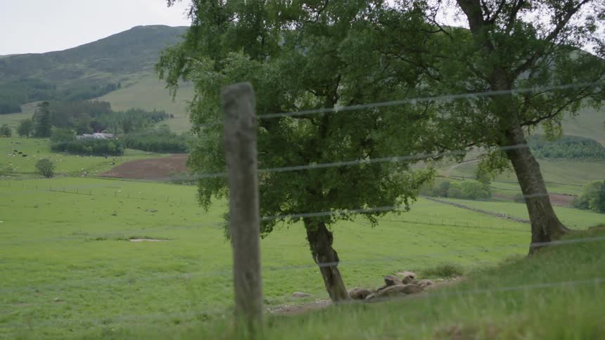 Small wire fence blocks off a large grassy field