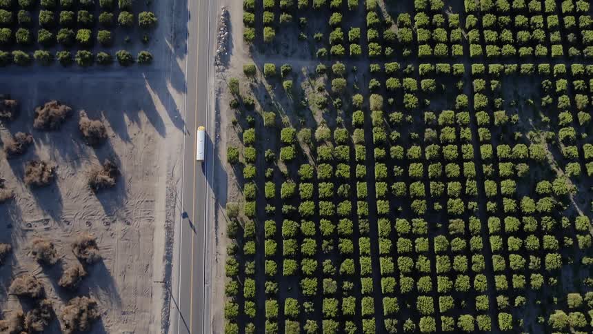 A truck travels on a road that cuts through farms and orchards