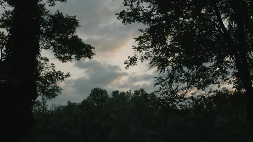 The sun is setting making the forest dark