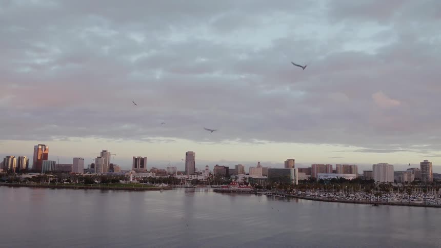 Birds fly over a city river at sunrise