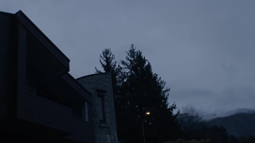 Tall pine trees stand outside a stone facade building