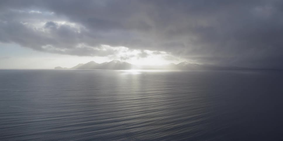The water is calm near the shore