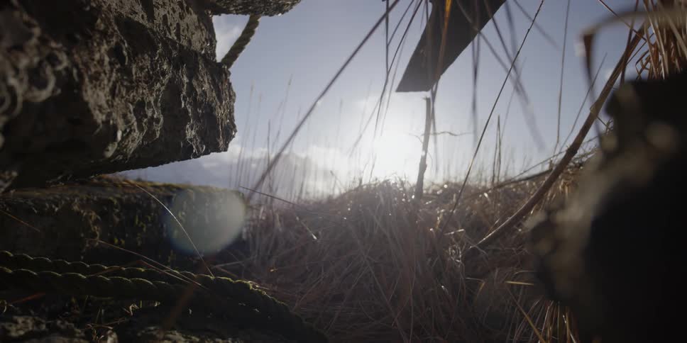 Tall grass is blowing in the wind between rocks