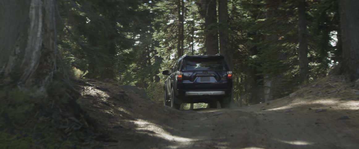 A vehicle drives on a bumpy forest road