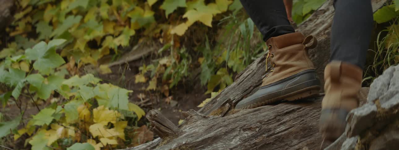 Person walks over a log in the woods