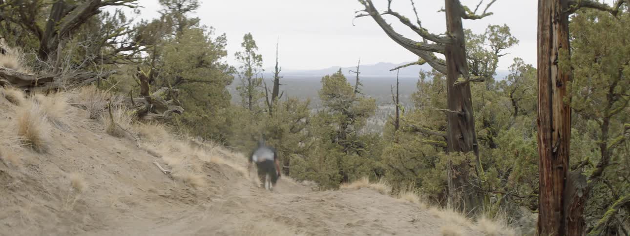 A man jumps his bicycle down a hill