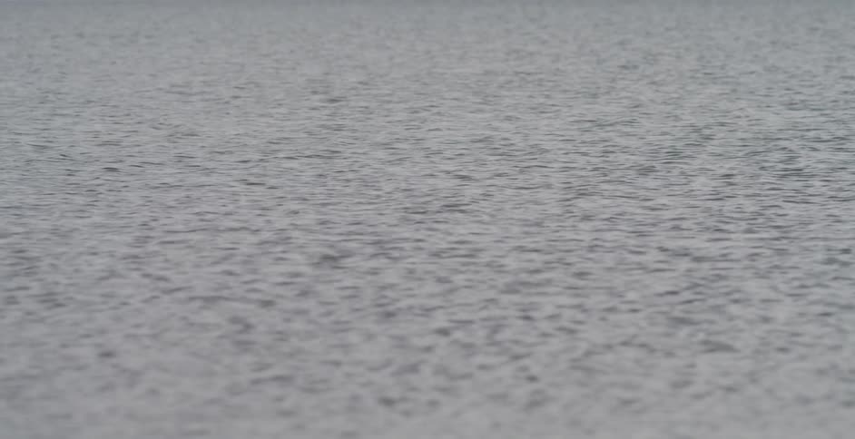 A large body of water with slight ripples