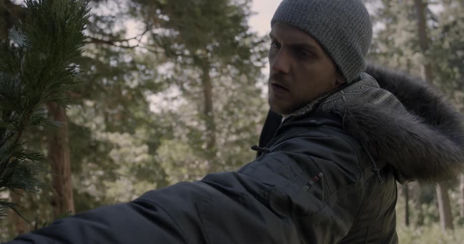 Man looks at a pine tree in a forest
