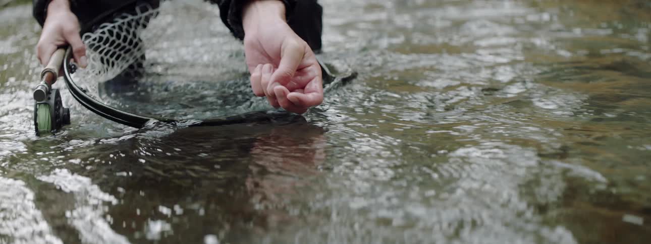 A man is releasing a fish he caught back into a river