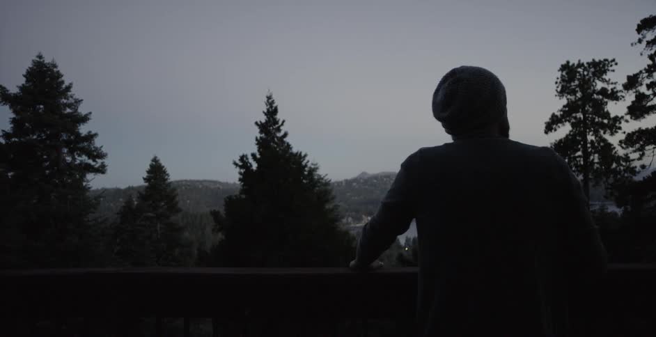 A man overlooks pine trees in mountains at sunrise