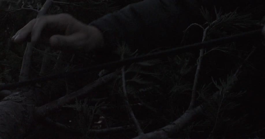 Someone is tying a rope around a tree