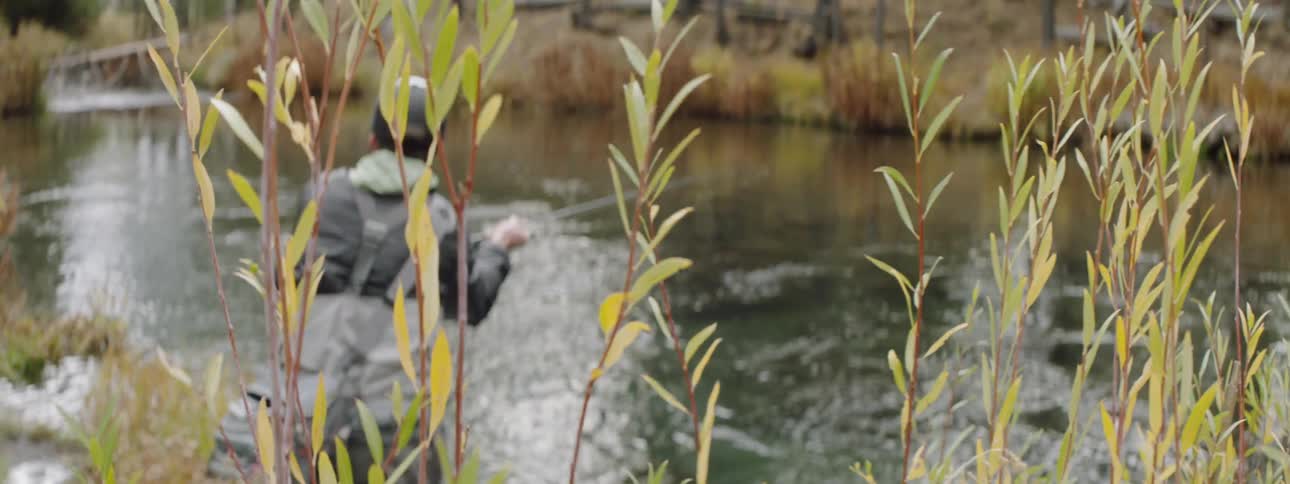 A man fishes in a river