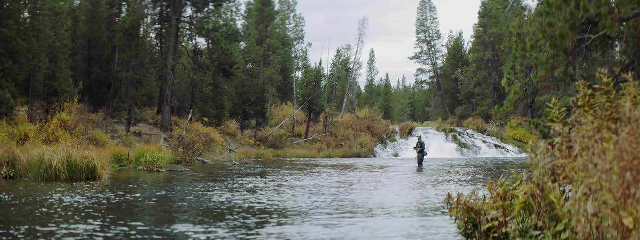 A fisherman stands in a forest river