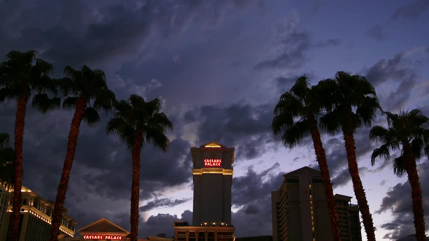 Lights shining from casinos with palm trees lining then on a cloudy sunset