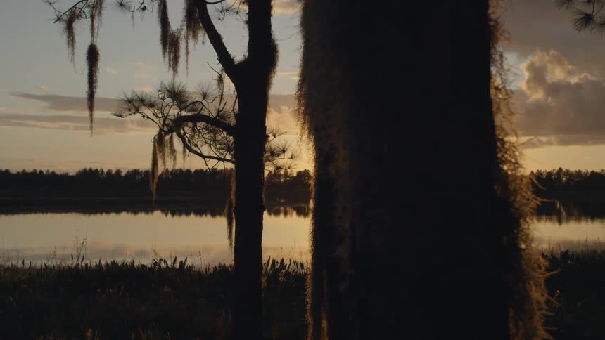 Sun setting behind some trees and a lake on cloudy evening