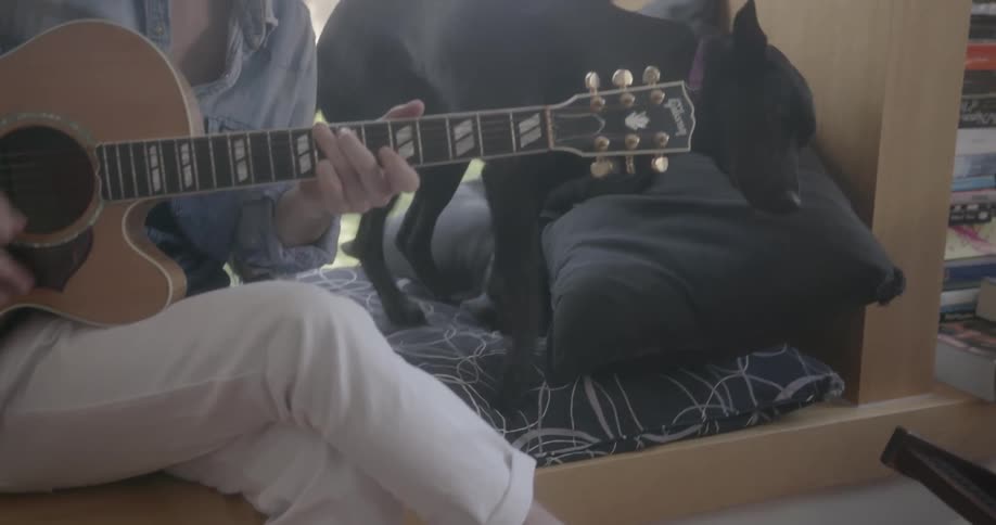 A man plays acoustic guitar next to a dog