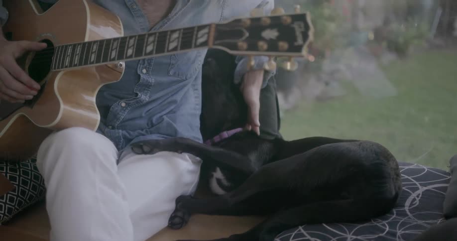 Man holding a guitar pets a dog