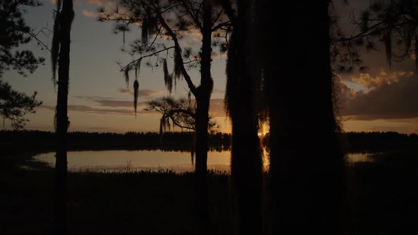 Sun setting behind some trees and a lake on cloudy evening
