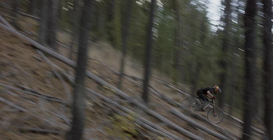 Person rides a bike down a hill in the woods