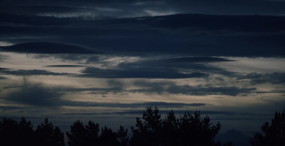 The top of the tree line and clouds at dusk