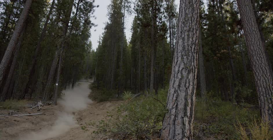 A person bikes down a dirt path through the forest