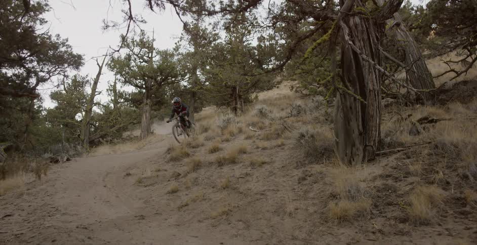 Rider cycling rapidly down a trail in a wooded area