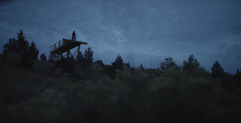 A person stands on a platform in a forest at night