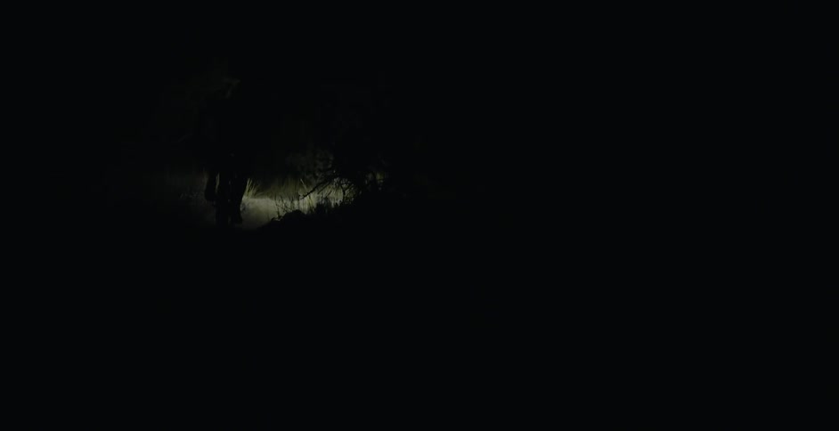 Person riding a bike with a light on it through the woods at night