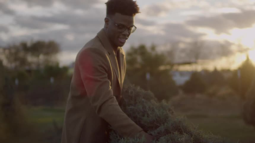A man takes down a pine tree on a farm