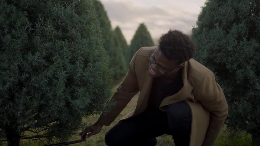 A man cuts down a pine christmas tree