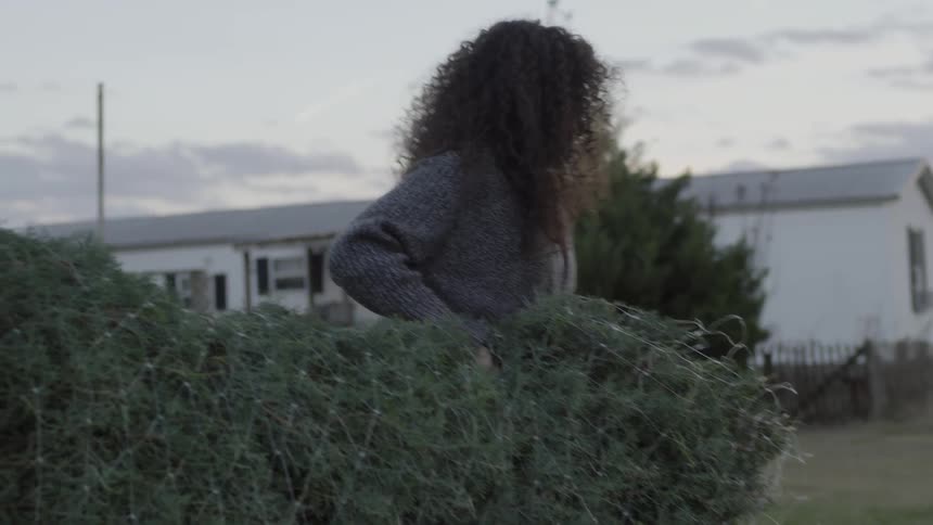 A man and woman carry a fresh cut christmas tree