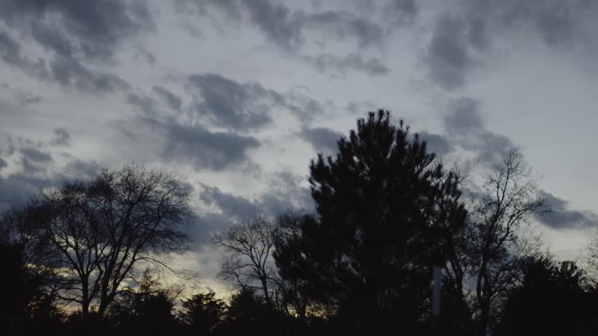 Clouds hang above motionless trees at dusk