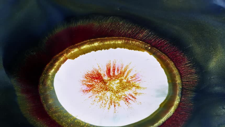 Multicolored liquid and golden paint rotate and swirl together