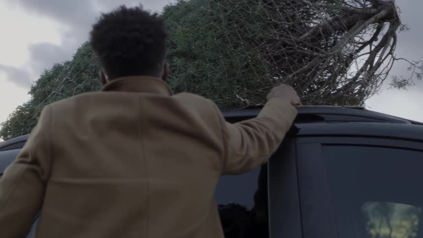 A man straightens the tree on the roof rack then steps back
