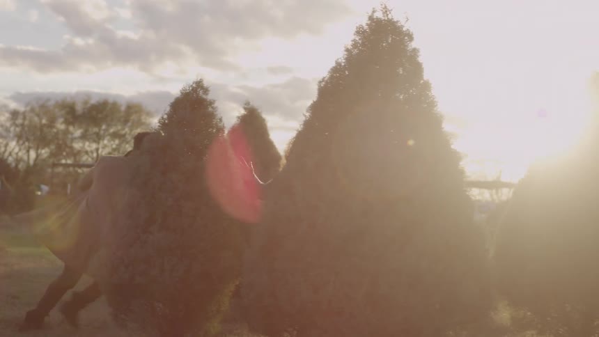 Man chases woman through pine trees