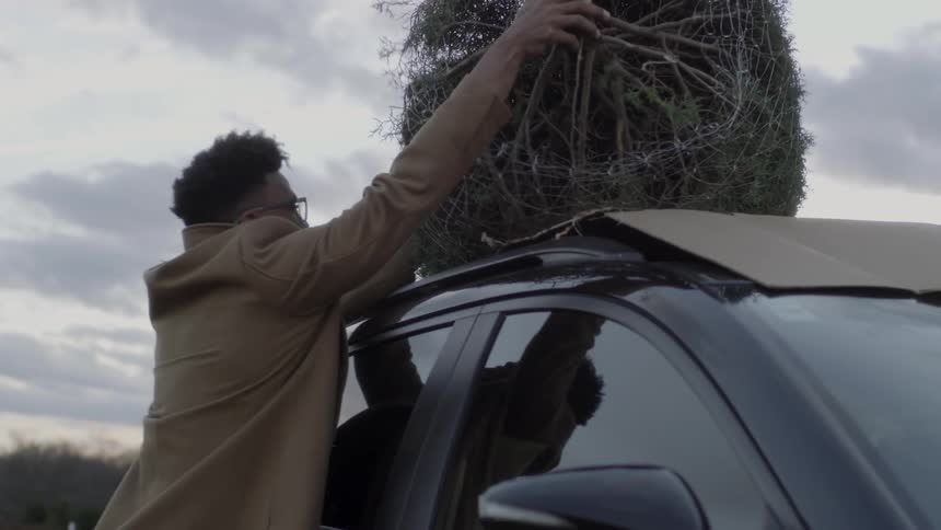 Man and woman lift pine tree to roof of vehicle