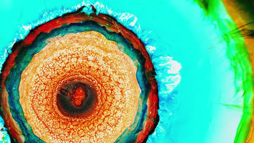 An explosion of orange expands in a circle