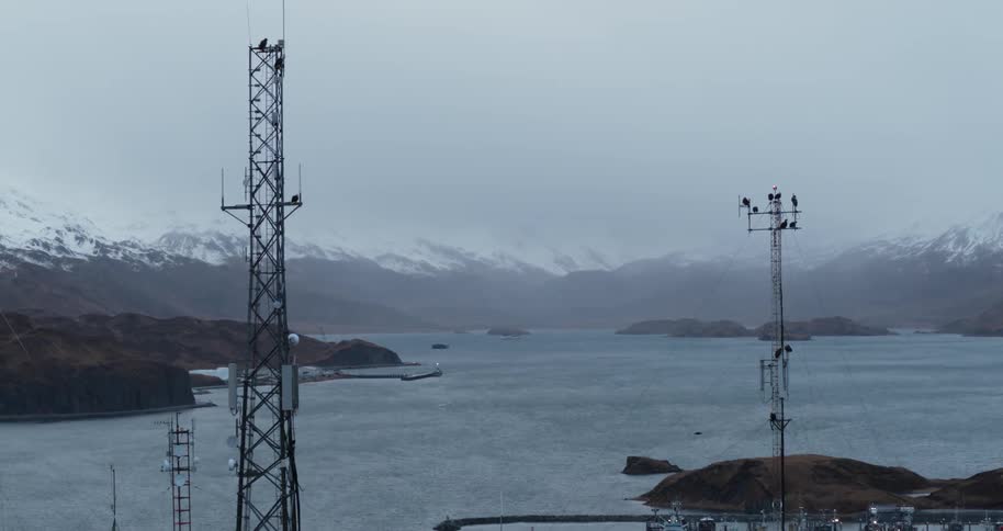 Communication towers by the sea with birds and snow-covered mountains in the distance