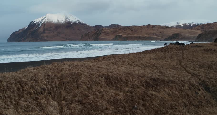 Ocean waves wash ashore near a snowy mountain