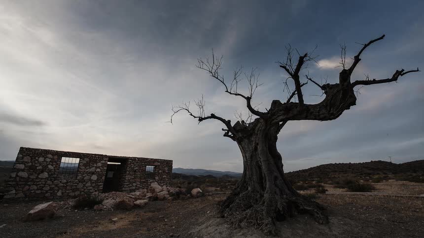 Clouds float above a dead tree and stone building
