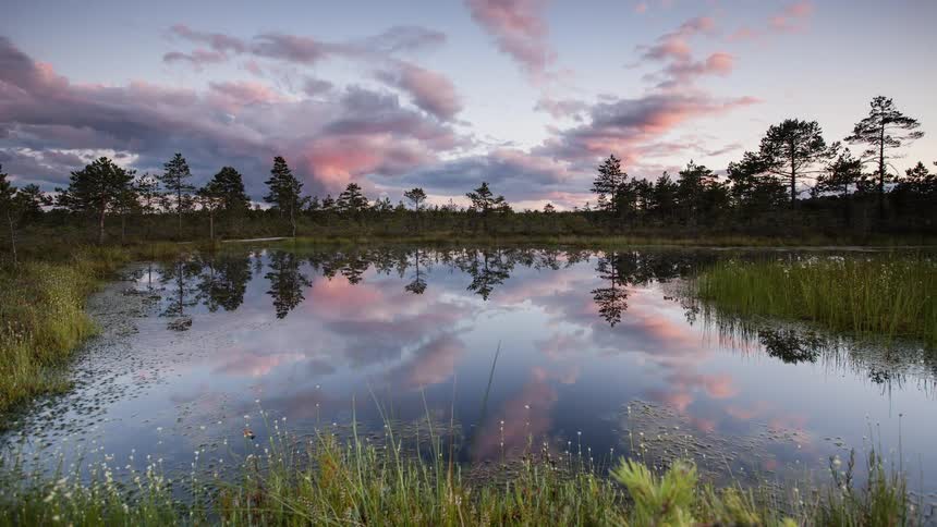 A pond reflects clouds passing overhead