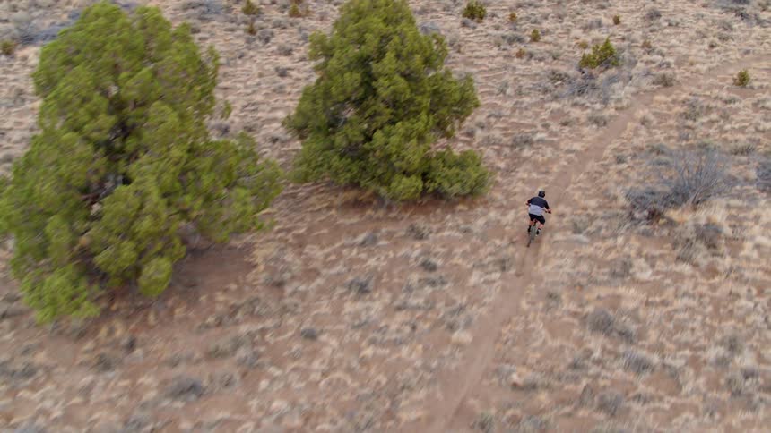 Man rides a bicycle through a trail in a field