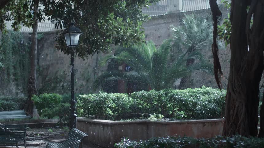 Rain falls in a park