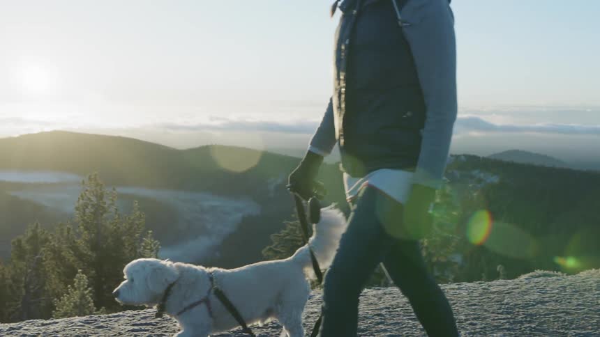 Man walks a dog outside near mountains and a stream