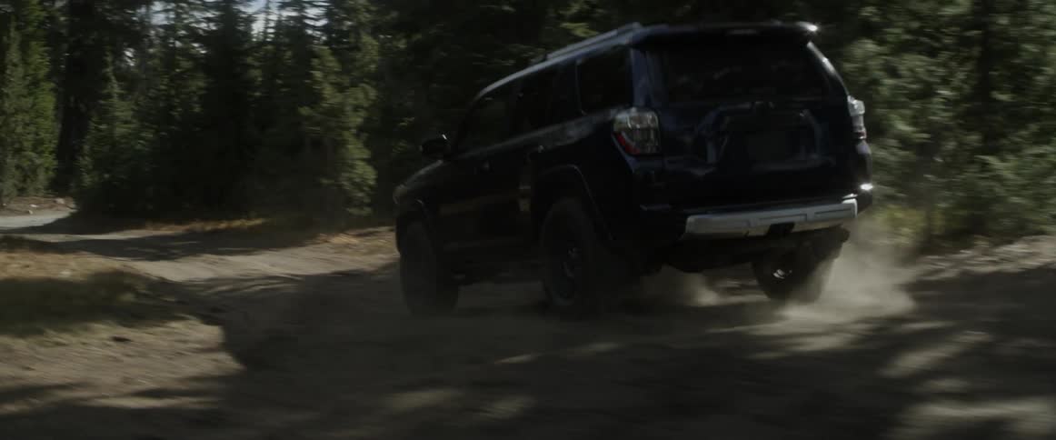 Vehicle travels down the road between rows of trees